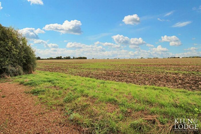 3 Bedroom Detached Bungalow For Sale In Chelmsford Road, White Roding, Dunmow, CM6