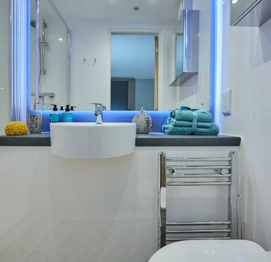 1 Bedroom House To Rent In Mannequin House Blackhorse Lane, London, London, E17