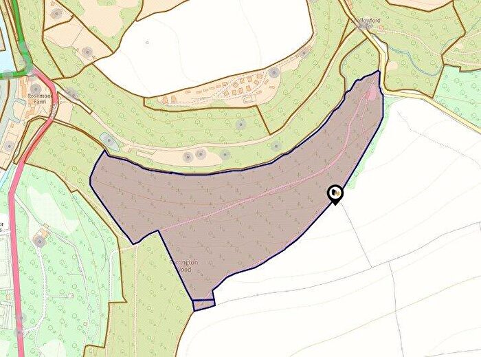 Land For Sale In Torrington, Devon, EX38