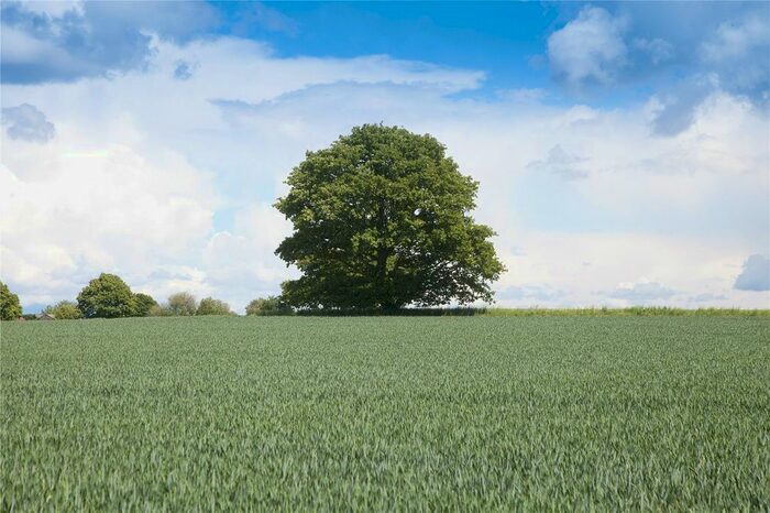 Land For Sale In Hay Place Lane, Binsted, Alton, Hampshire, GU34