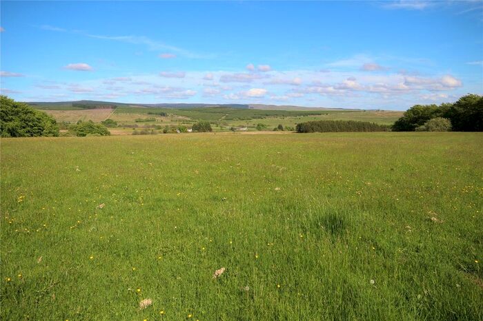 Land For Sale In Newcastleton TD9