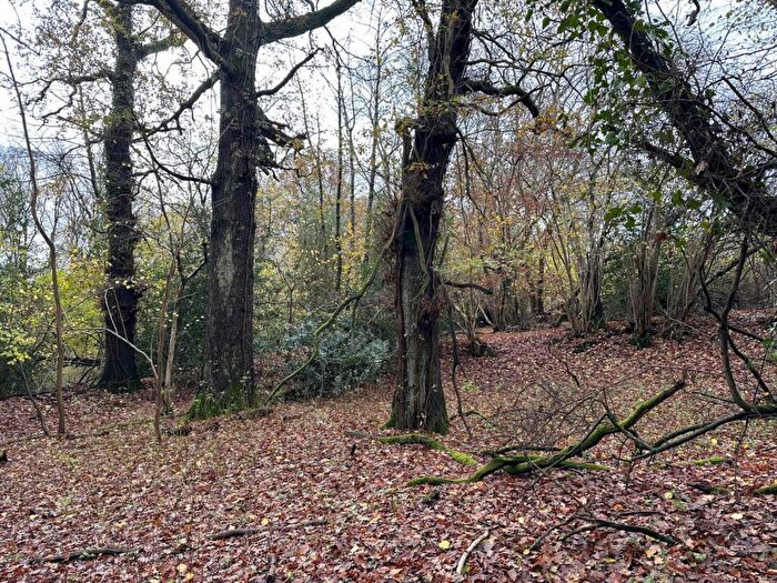 Land For Sale In Lot Awbridge, Nr Romsey, SO51