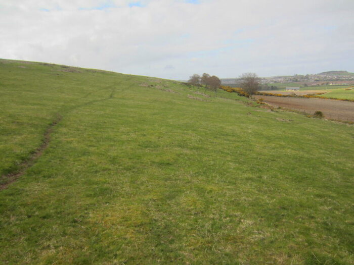 Land For Sale In Land At Knockorth, Aberchirder, Huntly, Aberdeenshire, AB53