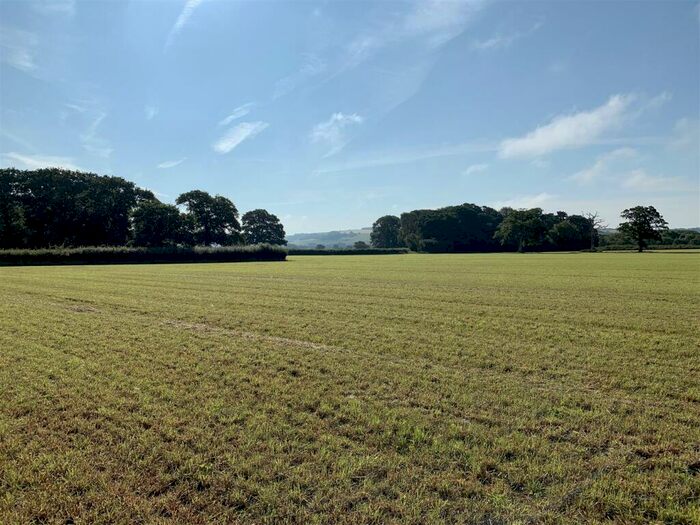 Land For Sale In Bedchester, Shaftesbury, SP7