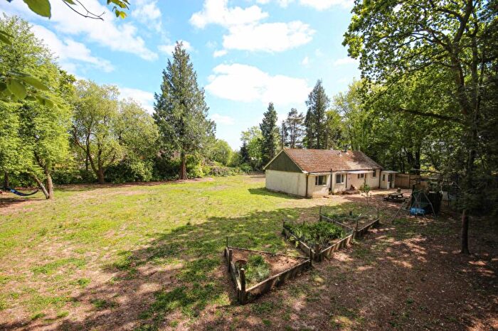 3 Bedroom Detached Bungalow For Sale In Woodhouse Hill, Lyme Regis, DT7