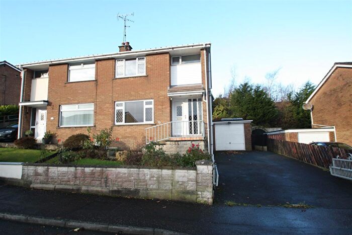 3 Bedroom Semi-Detached House For Sale In Carlisle Park, Ballynahinch, BT24