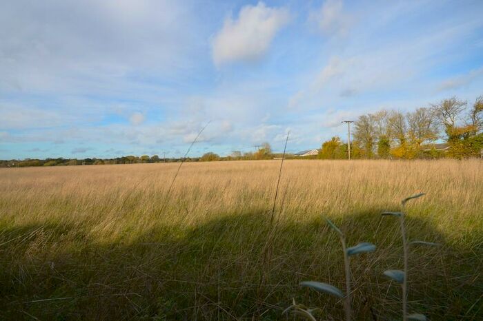 2 Bedroom Detached Bungalow To Rent In Watton, IP25