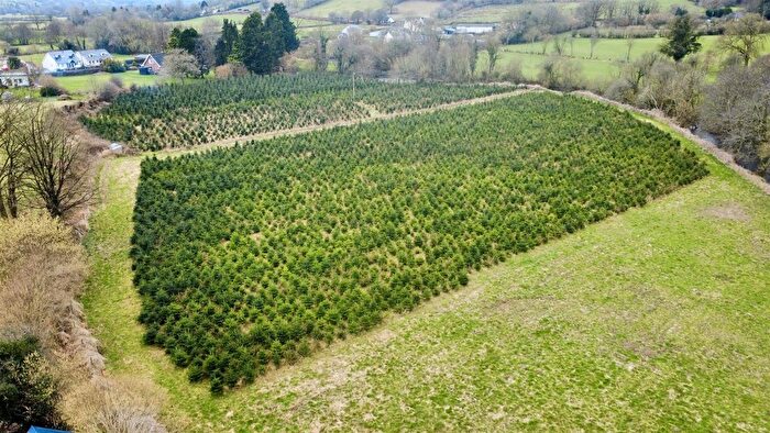 Land For Sale In Llangeitho, Tregaron, SY25