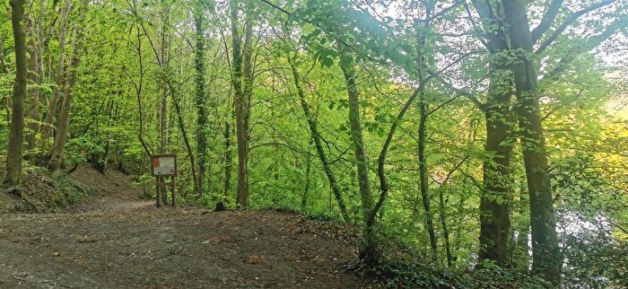 Land For Sale In Harewood, Calstock, PL18
