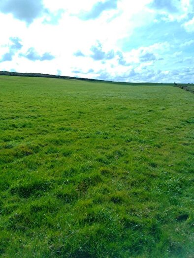 Land For Sale In Land Near Hedley, Hedley On The Hill, Chopwell, Newcastle Upon Tyne, NE17