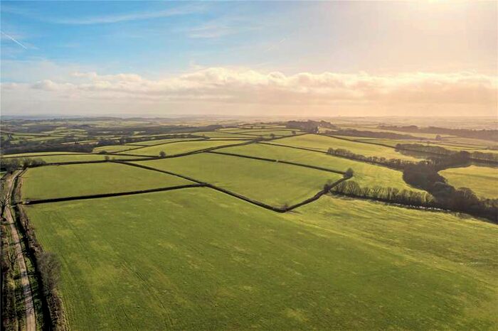 Commercial Farm For Sale In St. Giles, Torrington, Devon, EX38