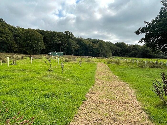 Land For Sale In Ashwater, Beaworthy, EX21