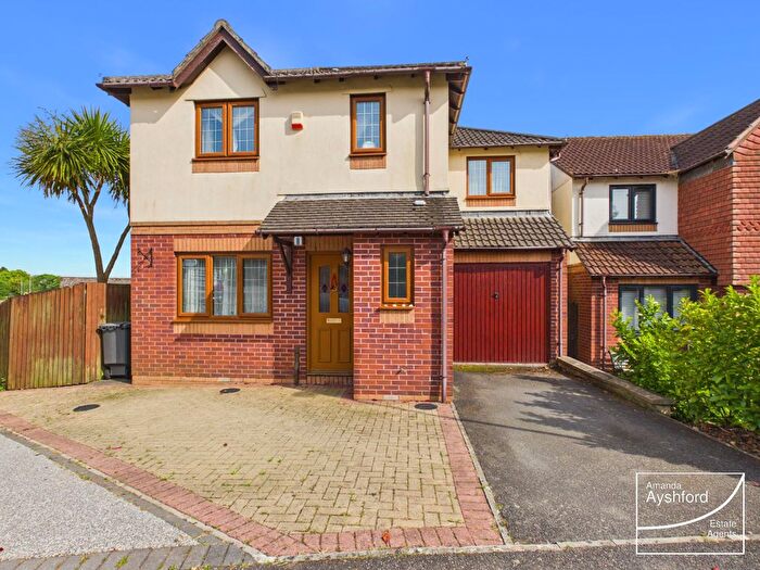 4 Bedroom Detached House For Sale In Tallow Wood Close, Paignton, TQ3
