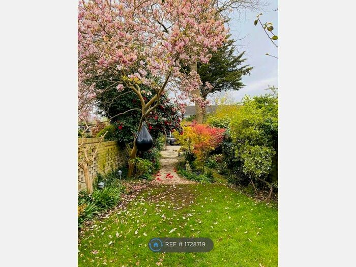 2 Bedroom Semi-Detached House To Rent In Park Road, Sunbury-On-Thames, TW16