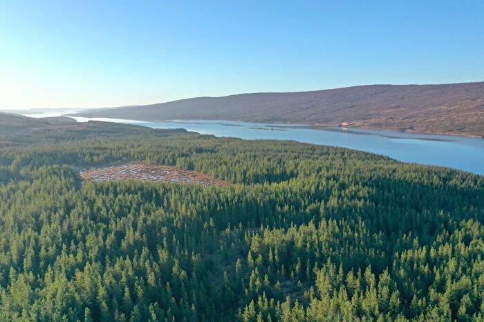 Land For Sale In Ghriama Wood, Lairg, Sutherland, IV27