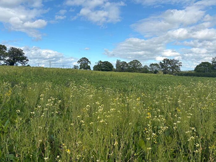 Farm Land For Sale In Land At Copmere End - Lot Three, ST21