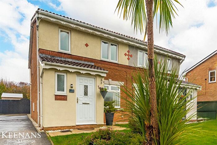 3 Bedroom Semi Detached House For Sale In Delphinium Way, Darwen, BB3