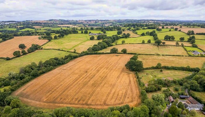 Land For Sale In Stoke Lacy, Bromyard, HR7