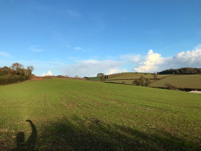 Land For Sale In Littlehempston, Totnes TQ9