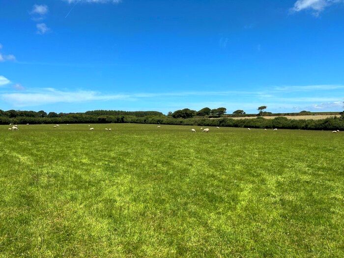 Land For Sale In Bradworthy, Holsworthy, Devon, EX22