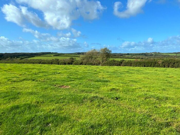 Land For Sale In Lot, Bradworthy, Holsworthy, Devon, EX22