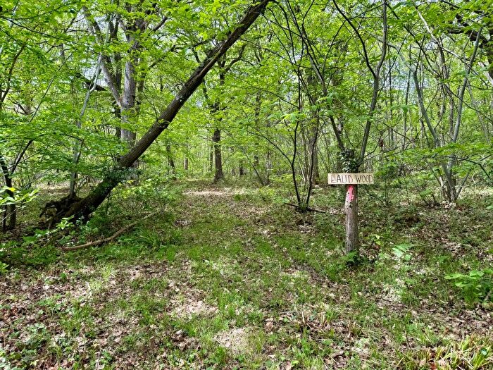 Land For Sale In Laud Wood, Dunkirk, Faversham, Kent, ME13