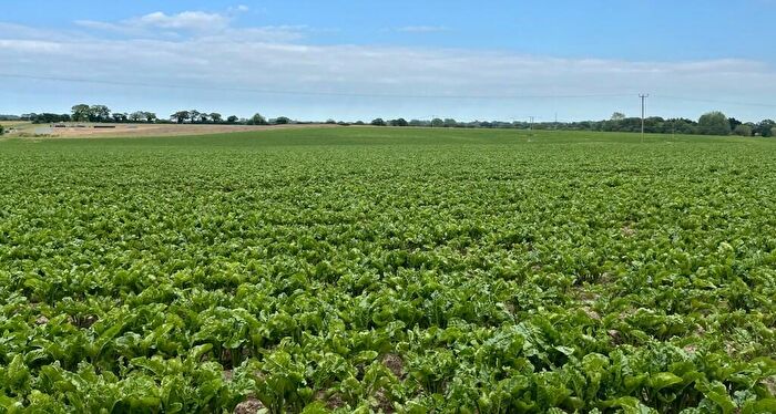 Farm Land For Sale In Hurricane Farm, Bodham, Holt, Norfolk, NR25