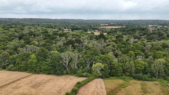 Land For Sale In Canterton Lane, Brook, Lyndhurst, Hampshire, SO43