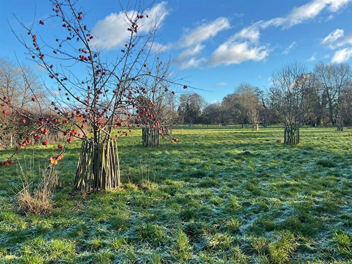 Land For Sale In Staunton On Arrow, Pembridge, Leominster, HR6