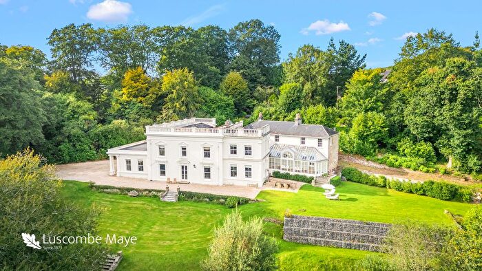 10 Bedroom Detached House For Sale In Ermington, Ivybridge, PL21