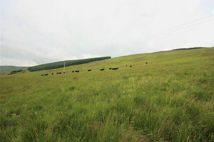 Land For Sale In Abington, Biggar, ML12