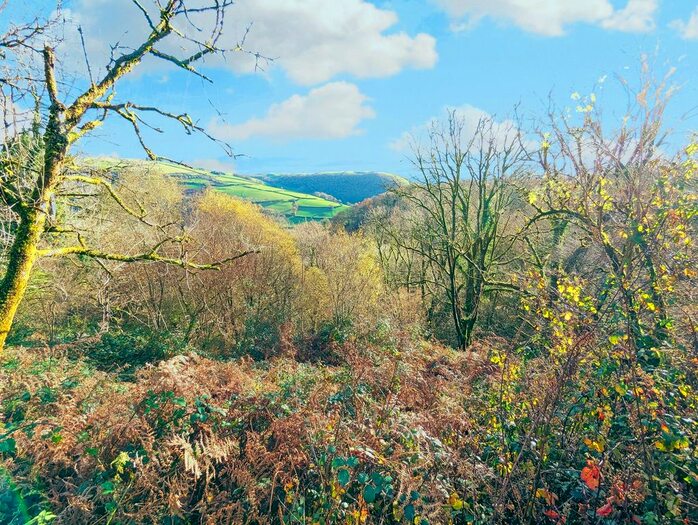 Farm For Sale In Abergorlech Road, Horeb, Carmarthen, Carmarthenshire., SA32