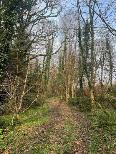 Land For Sale In Farway, Colyton, Devon, EX24