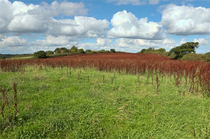 Land For Sale In Cheriton Bishop, Exeter, Devon, EX6