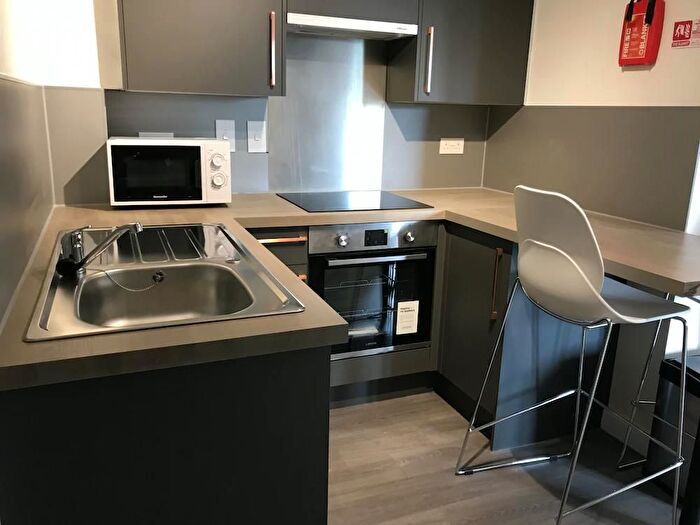 Studio To Rent In Green Lanes, London, N16