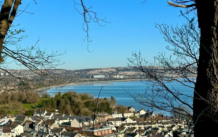 4 Bedroom Detached House To Rent In Wychwood Close, Langland, Swansea, SA3