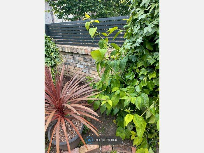 2 Bedroom Flat To Rent In Stroud Green, London, N4