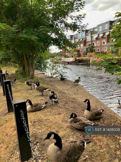 1 Bedroom Flat To Rent In Bream Close, London, N17