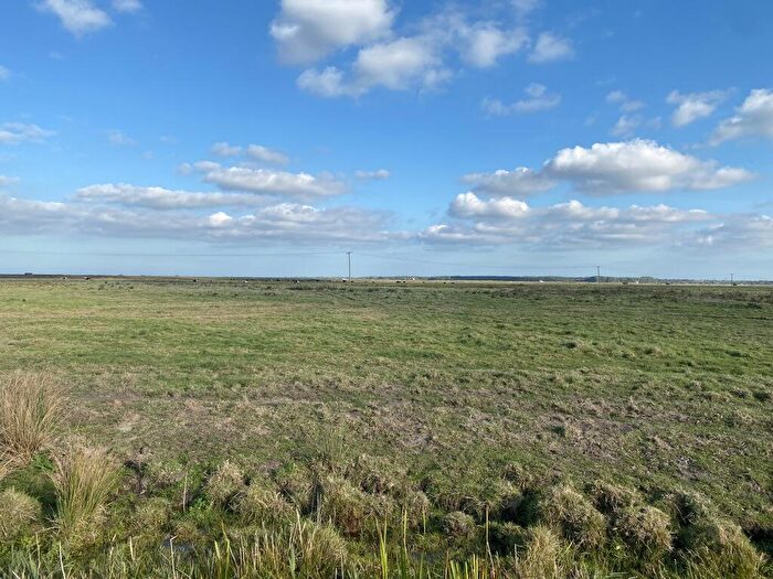 Farm Land For Sale In Marshes At Thurlton, The Street, Thurlton, Norwich, Norfolk, NR14