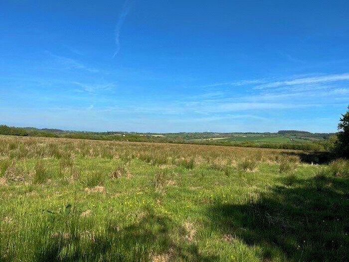 Land For Sale In Beaworthy, Devon, EX21
