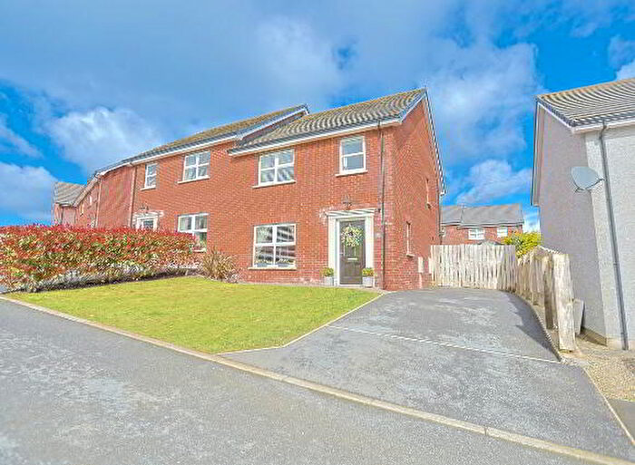 3 Bedroom Semi-Detached House For Sale In Rose Walk, Craigavon, BT62
