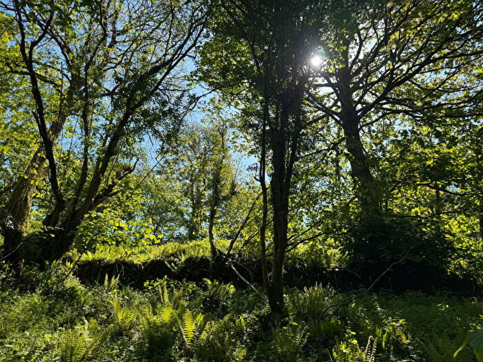 Land For Sale In Milton Combe, Yelverton, PL20