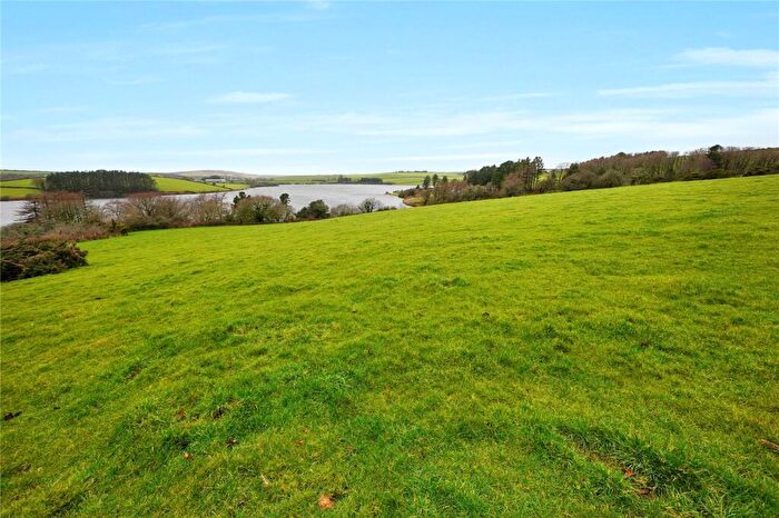 Land For Sale In Common Moor, Liskeard, Cornwall, PL14