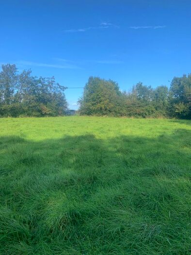 Land For Sale In Drummurrer Lane, Coalisland, Dungannon, BT71