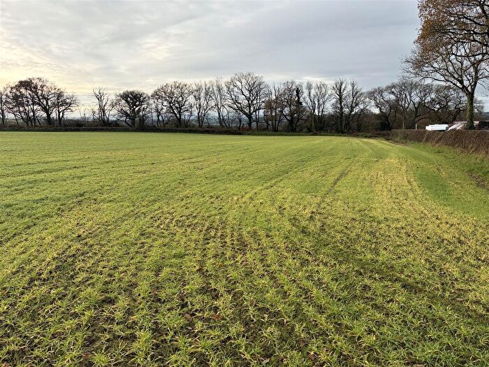 Land For Sale In Dolton, Winkleigh, EX19