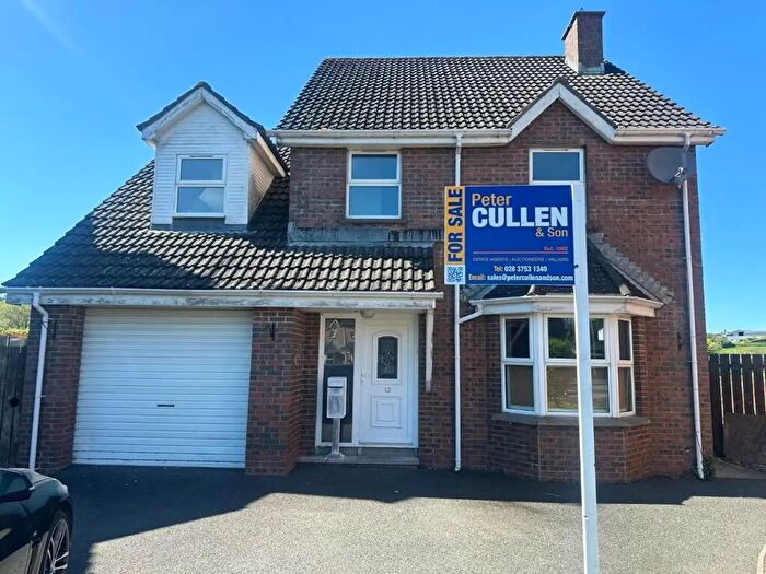 4 Bedroom Detached House For Sale In Gortcille, Armagh, BT60