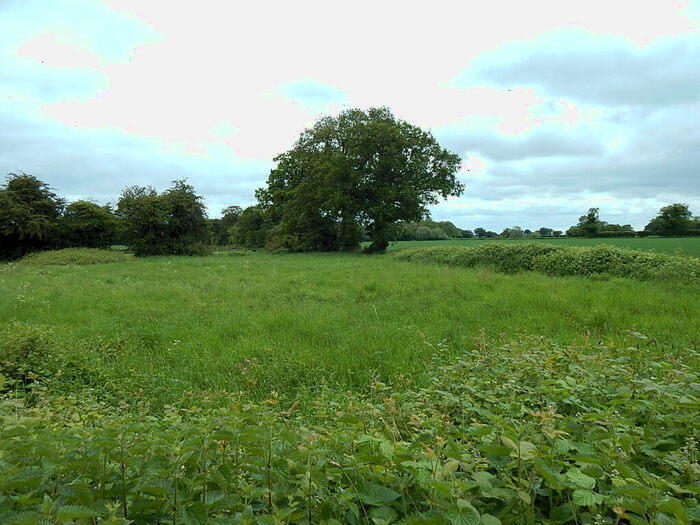 Land For Sale In Land At, Glebe Corner, Mautby, Great Yarmouth, Norfolk, NR29