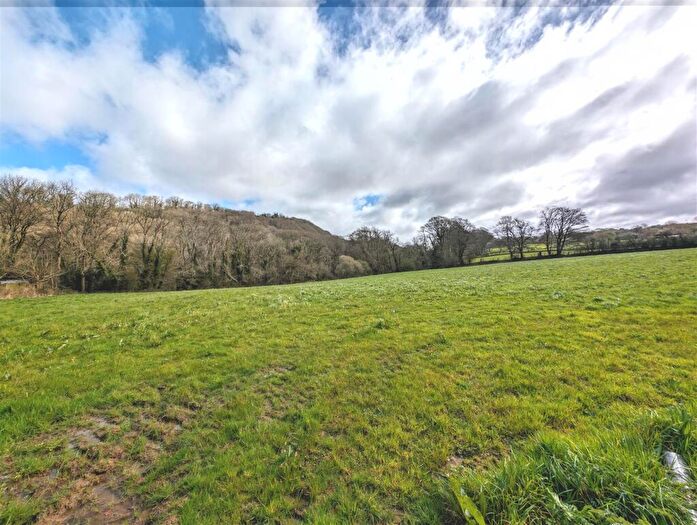 Land For Sale In . Acres Of Pasture And Woodland, Llanychaer, Fishguard, SA65