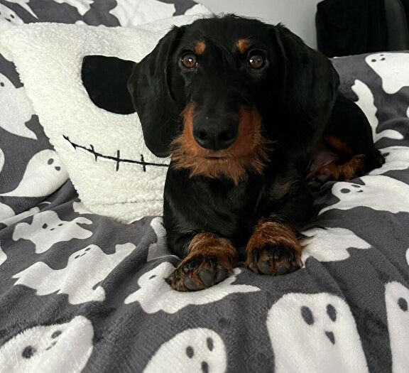 1 Bedroom Flat To Rent In Altitude At Phoenix, Saxton Lane, Leeds, West Yorkshire, LS9