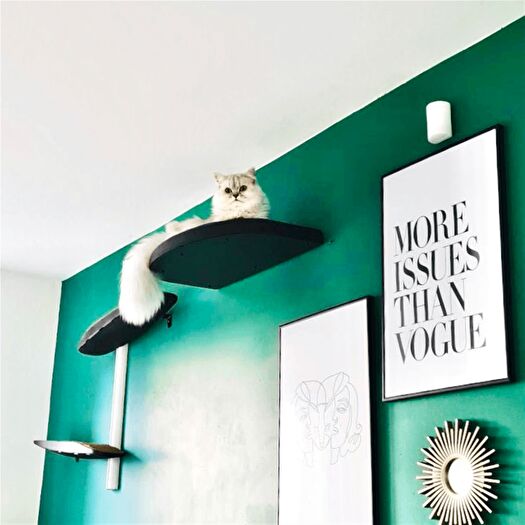 Property For Sale In Wellness-Focused Cat Furniture Brand, Monmouthshire, NP26